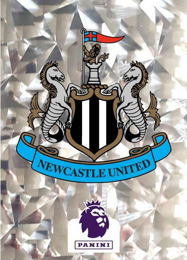 Premier League 2024 - 463 - Newcastle United Club Badge