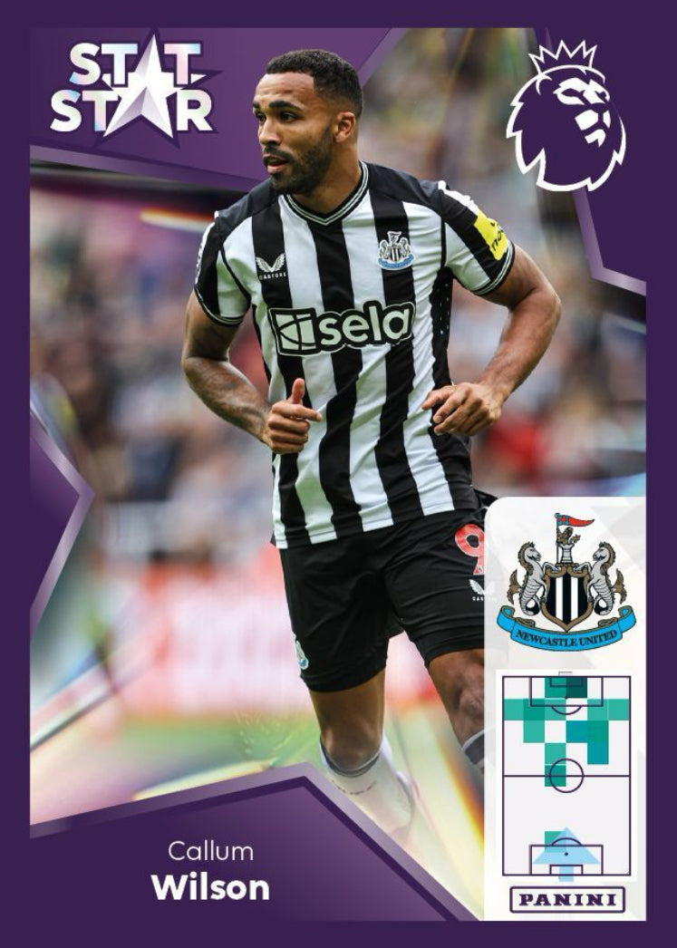 Premier League 2024 - 491 - Callum Wilson - Stat Star