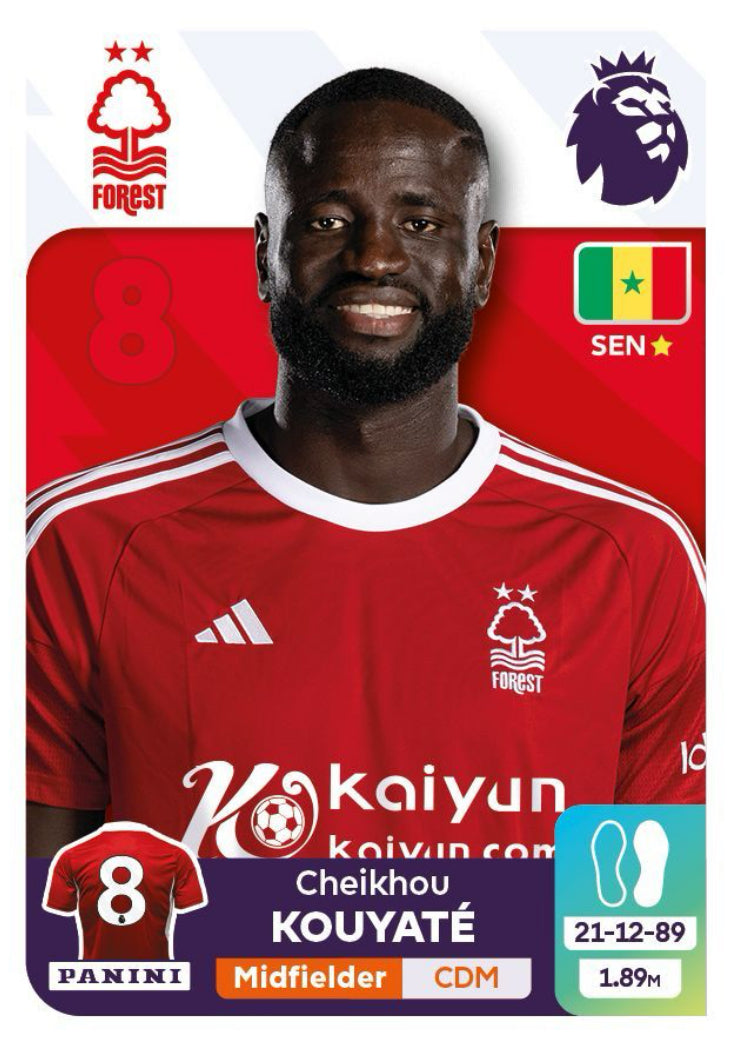 Premier League 2024 - 505 - Cheikhou Kouyaté
