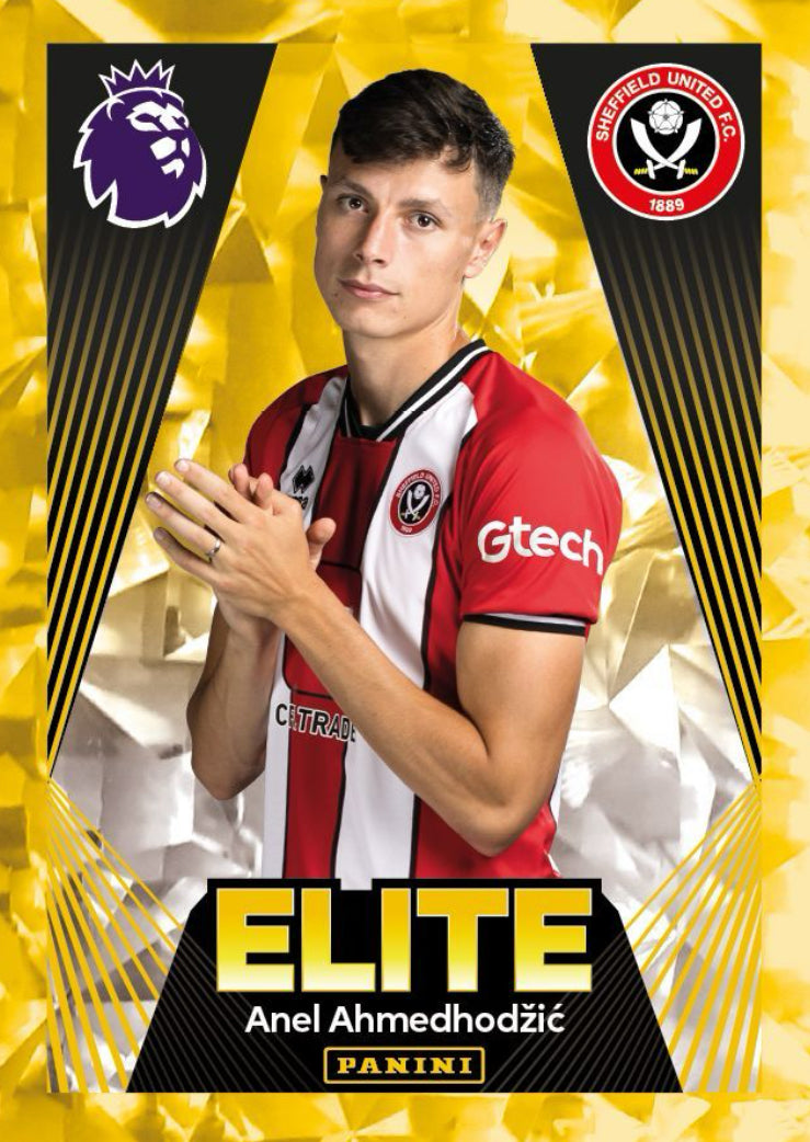 Premier League 2024 - 543 - Anel Ahmedhodzic - Elite