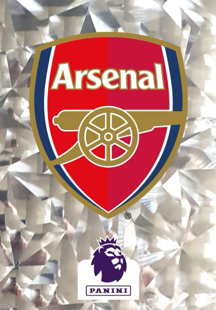 Premier League 2024 - 052 - Arsenal Club Badge