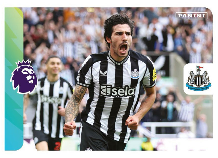 Premier League 2024 - 487 - Newcastle United Celebration