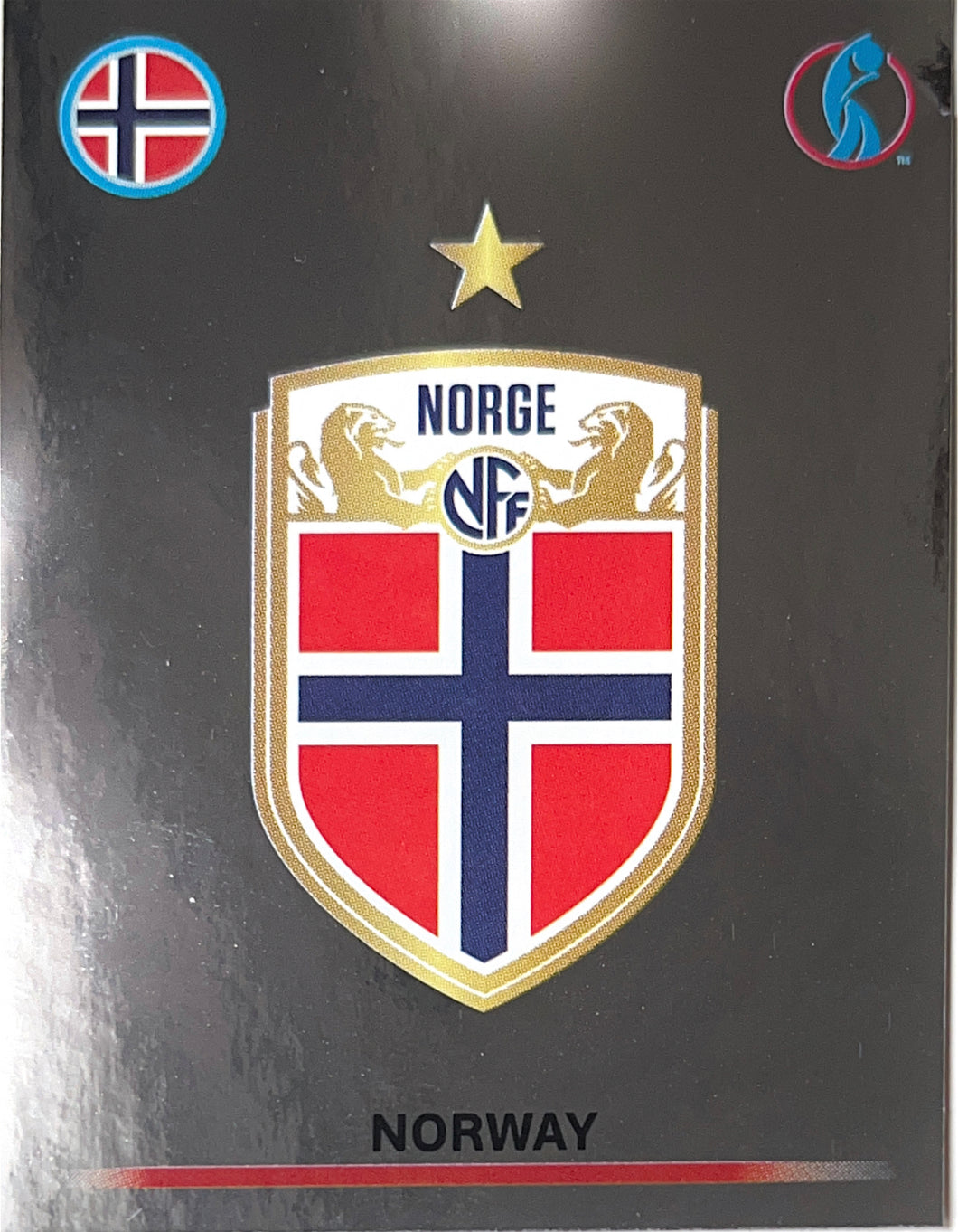 Panini Women's Euro 2022 - 073 - Norway Badge