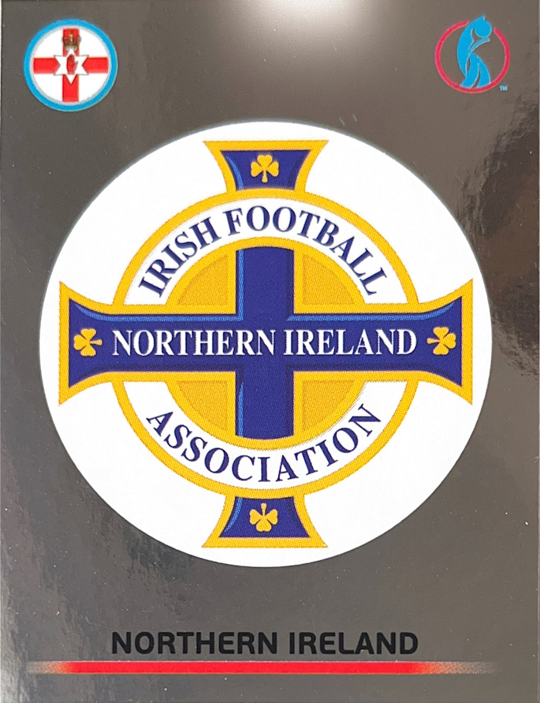 Panini Women's Euro 2022 - 094 - Northern Ireland Badge