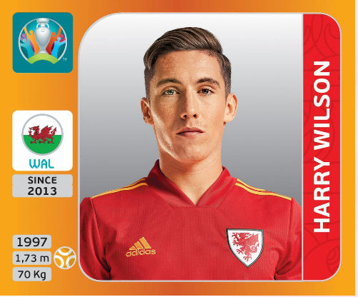Euro 2020 - 115 - Harry Wilson