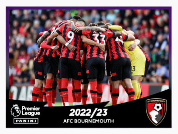 Premier League 2023 - 030 - Bournemouth Team