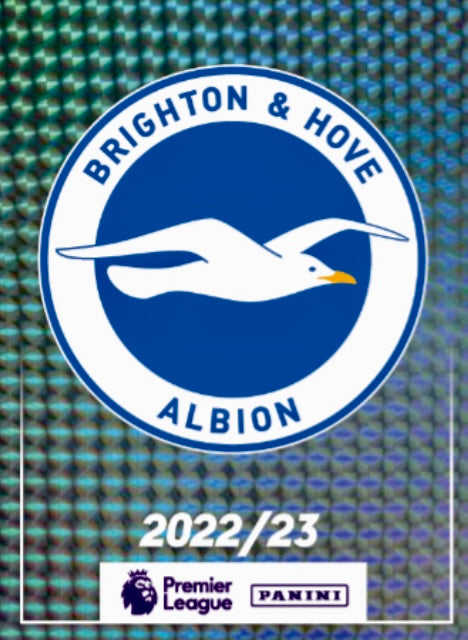 Premier League 2023 - 139 - Brighton Club Badge