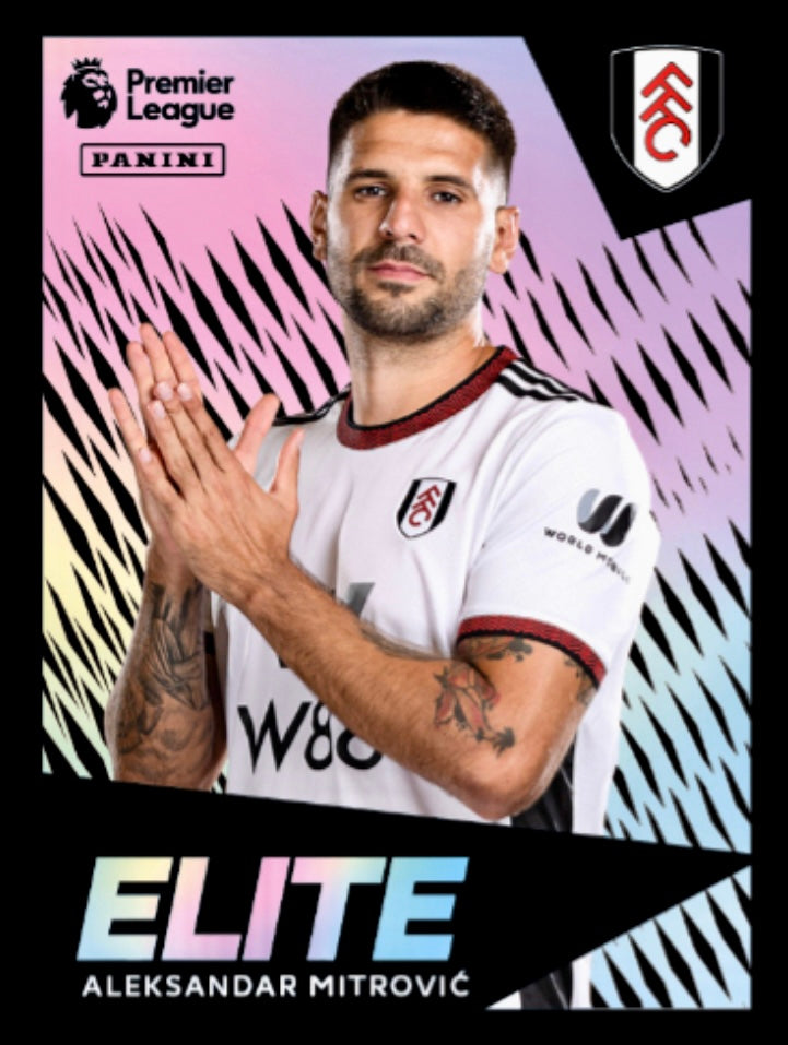 Premier League 2023 - 321 - Aleksandar Mitrovic - Elite