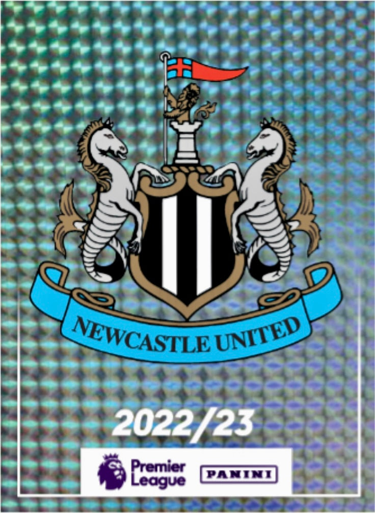 Premier League 2023 - 463 - Newcastle Club Badge
