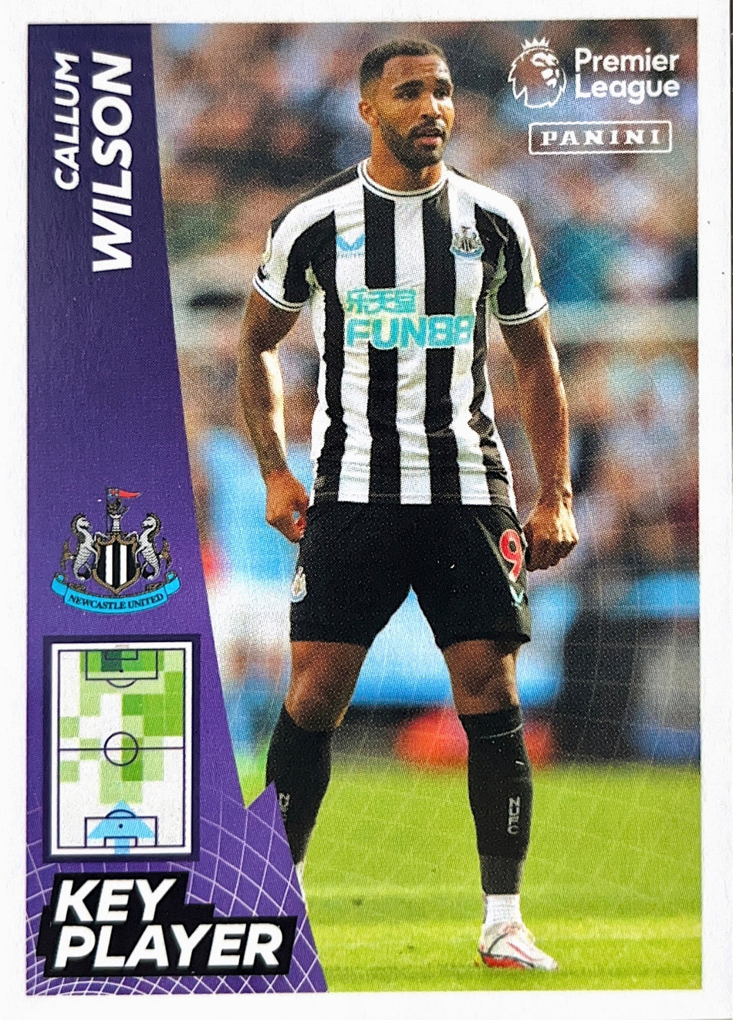Premier League 2023 - 490 - Callum Wilson - Key Player