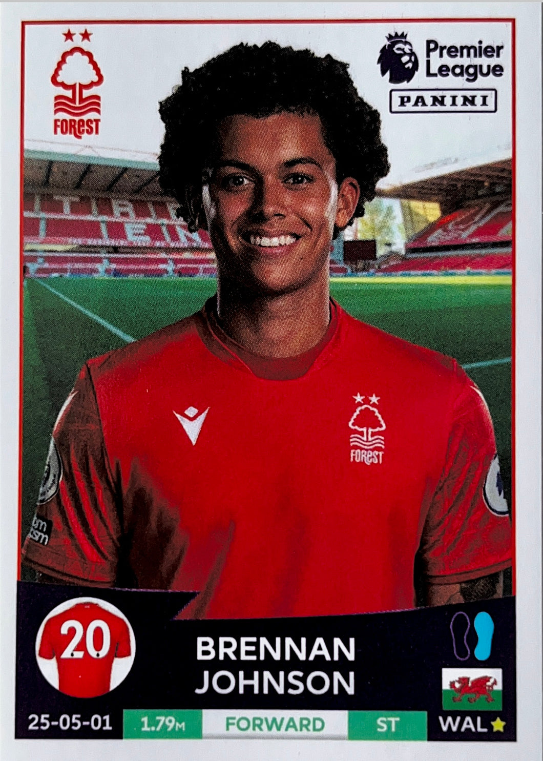 Premier League 2023 - 512 - Brennan Johnson