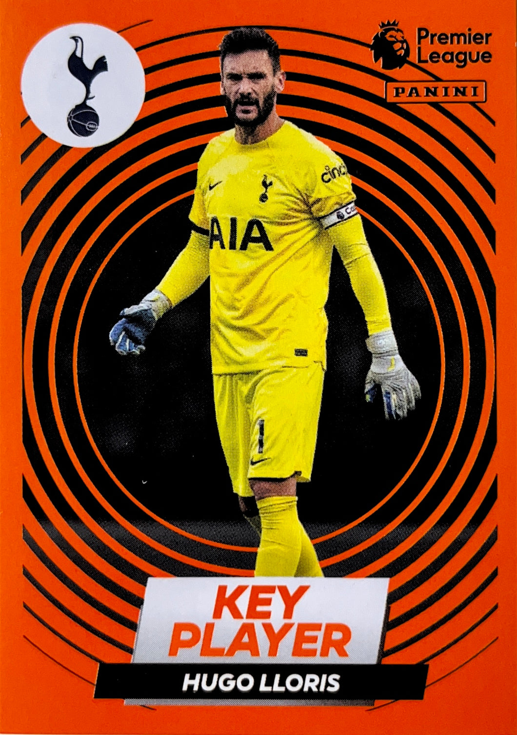 Premier League 2023 - 576 - Hugo Lloris - Key Player