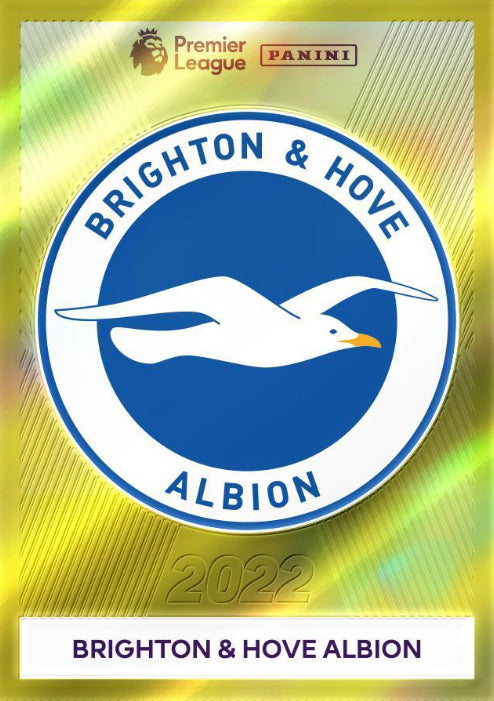 Premier League 2022 - 110 - Brighton Club Badge