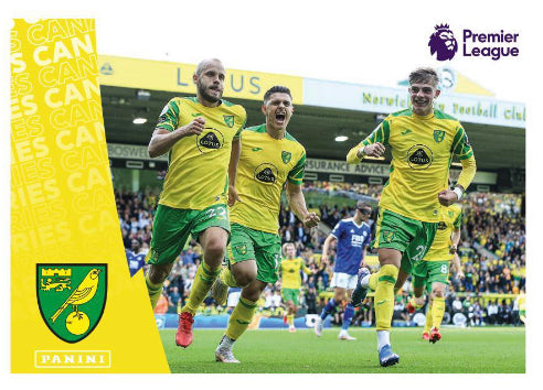Premier League 2022 - 491 - Norwich City Celebration