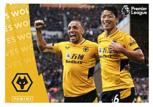 Premier League 2022 - 636 - Wolverhampton Wanderers Celebration