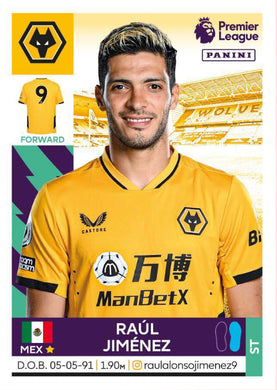 Wolverhampton Wanderers Raul Jimenez Mexico Jersey XL Autographed