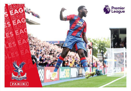 Premier League 2022 - 225 - Crystal Palace Celebration