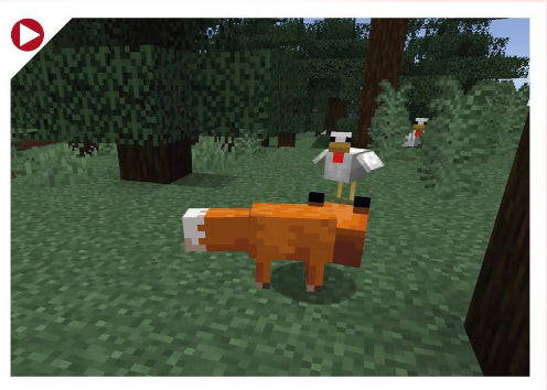 Minecraft Treasure - 011 - Fox and Chicken