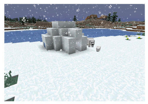 Minecraft Treasure - 017 - Snowy Biomes