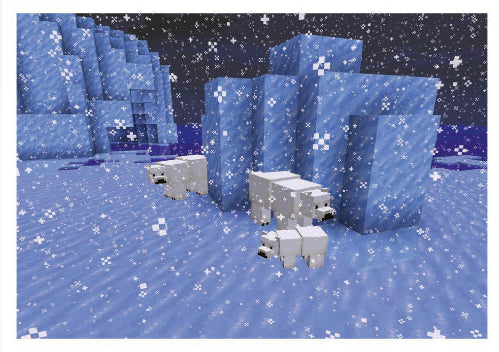 Minecraft Treasure - 020 - Snowy Biomes