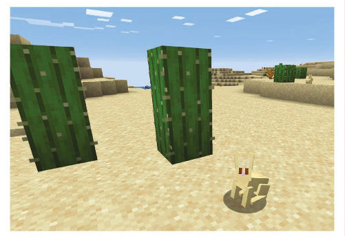 Minecraft Treasure - 022 - Desert