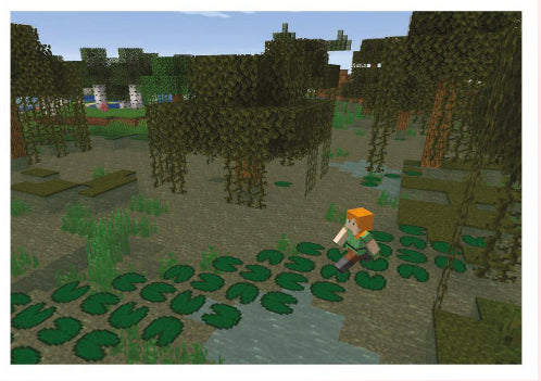 Minecraft Treasure - 028 - Swamps