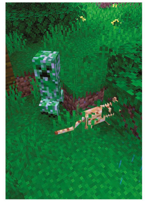 Minecraft Treasure - 037 - Jungle